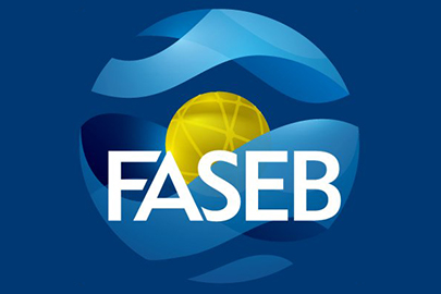 FASEB