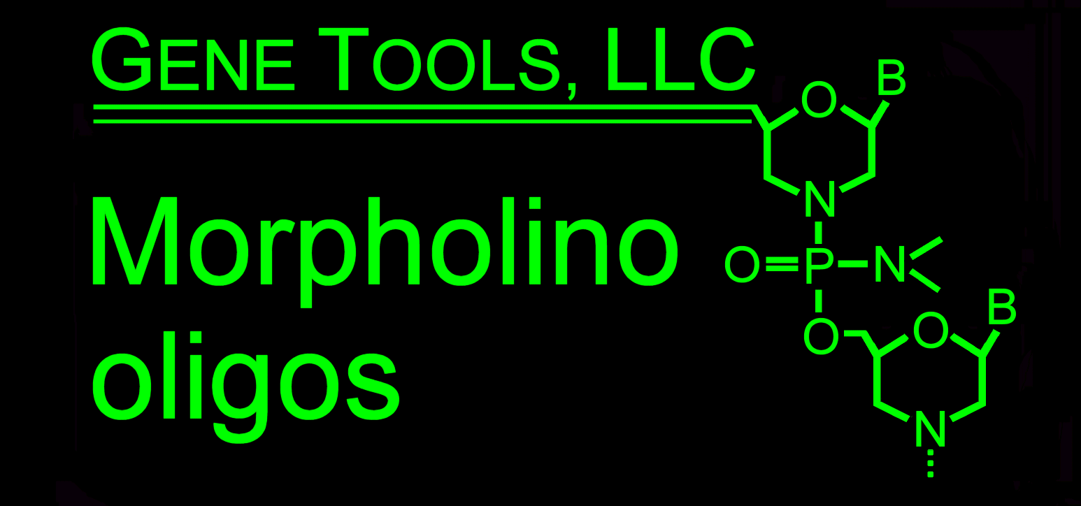 Gene Tools, LLC