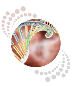 Toxicology image icon