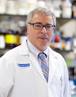 Nir Barzilai