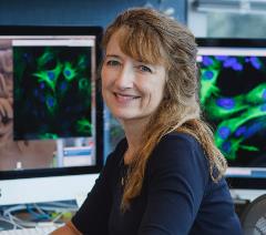 Dr. Laura Bohn Dr. Laura Bohn Joins the Publications Committee