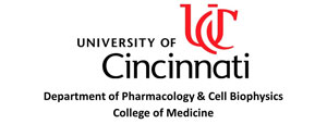 University of Cincinnati Logo