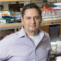 FEstrada_DMDD Award_200x200 FEstrada_DMDD Award_200x200